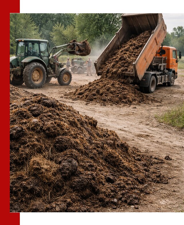 Доставка навоза самосвалами в Мысках для сельхозпотребностей